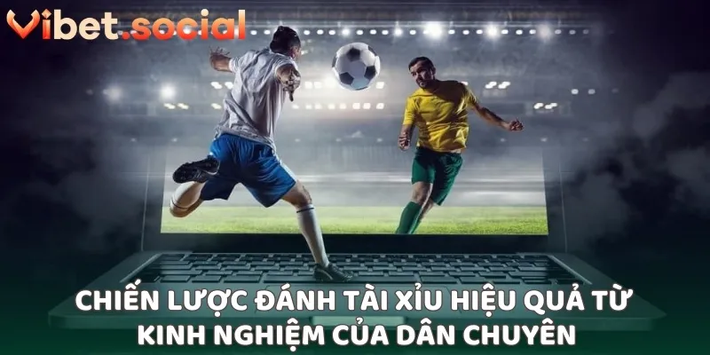 Chiến lược đánh tài xỉu hiệu quả từ kinh nghiệm của dân chuyên