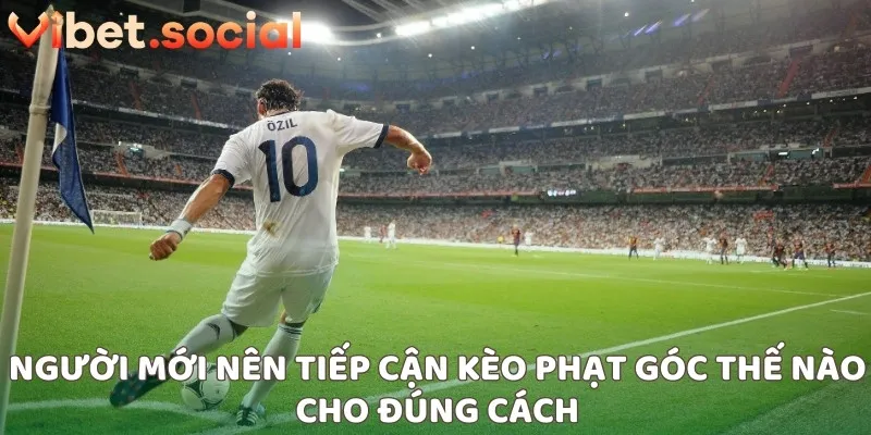 Người mới nên tiếp cận kèo phạt góc thế nào cho đúng cách