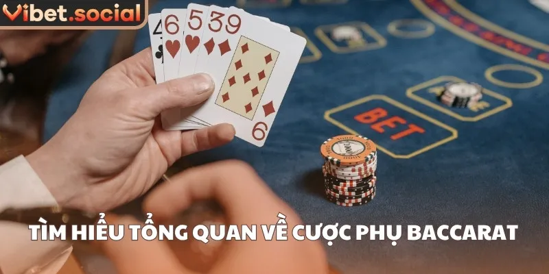 Tìm hiểu tổng quan về cược phụ Baccarat